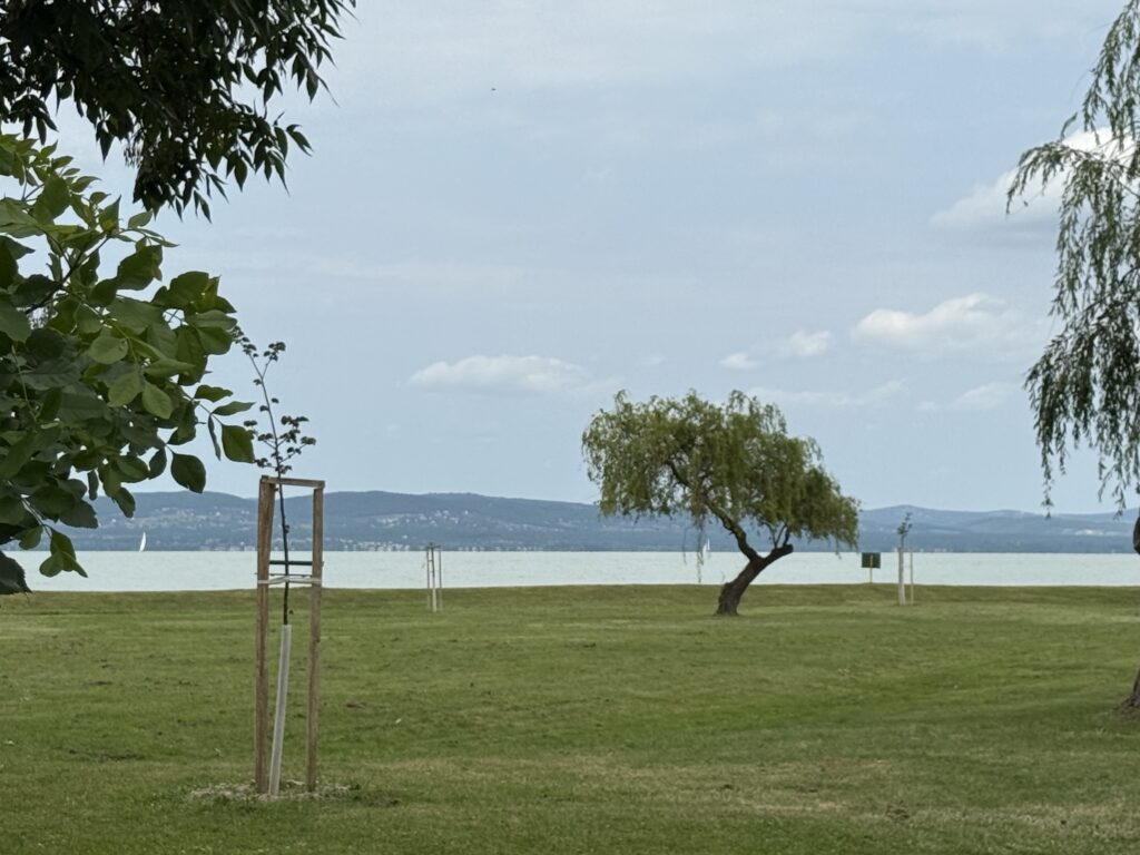balatonszemes projekt part